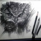 04---Owl---Carvão