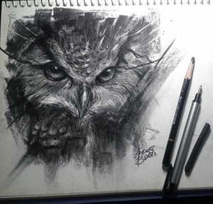 04---Owl---Carvão